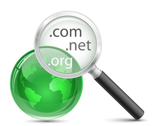 Domain search vector icon — Stock Vector