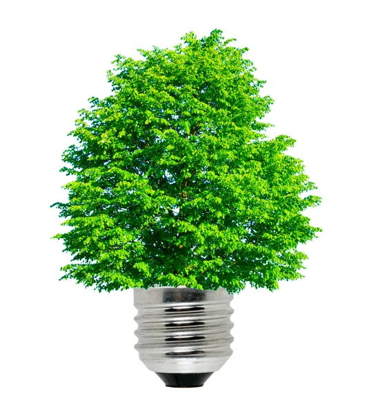 Energia verde — Fotografia de Stock