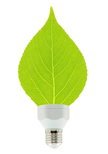 잎 및 램프 — 스톡 사진
