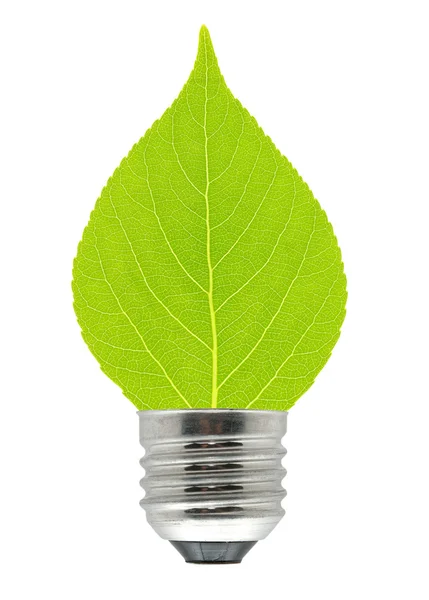 Leaf and lamp — Stock Photo, Image