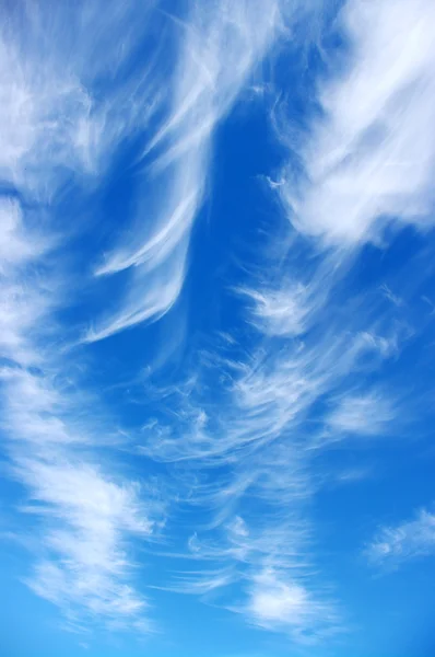 Fond bleu ciel — Photo