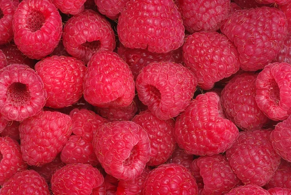 Raspberries background — Stock Photo, Image