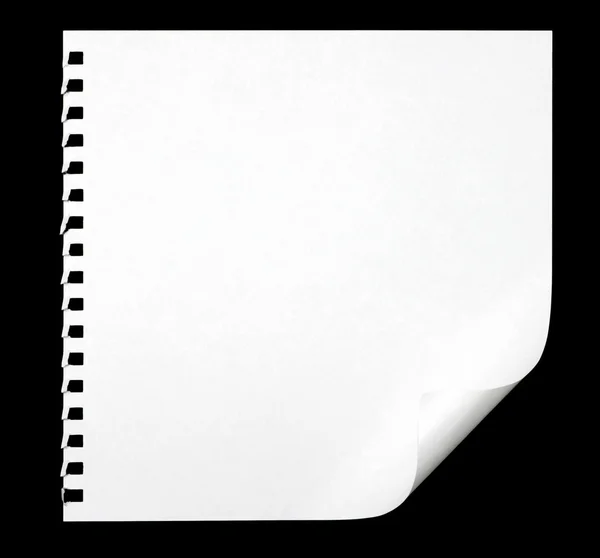 Libro Blanco — Foto de Stock