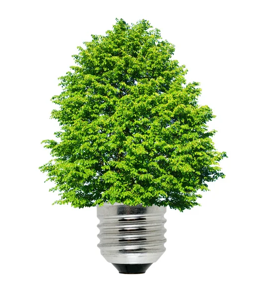 Energía verde — Foto de Stock