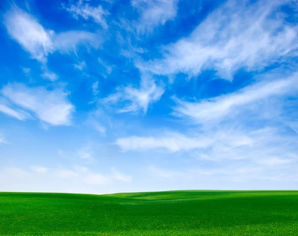 Feld und weiße Wolken — Stockfoto