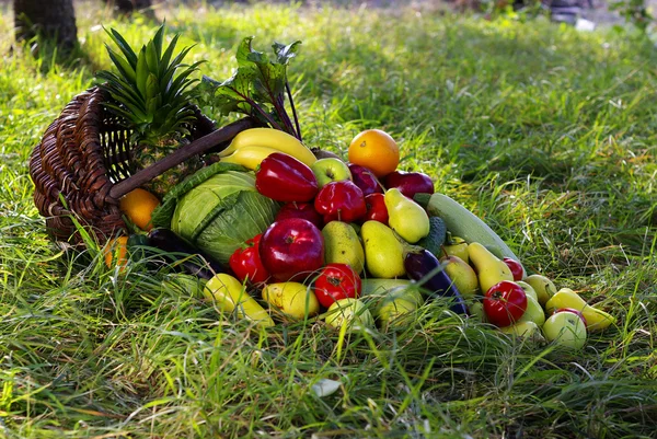 Çeşitli meyvelerle kompozisyon — Stok fotoğraf
