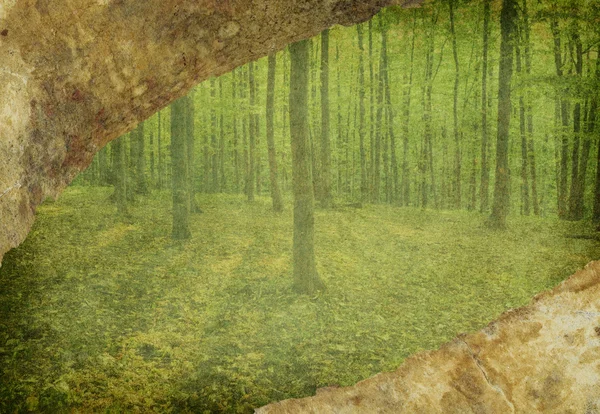 Szüreti erdő — Stock Fotó
