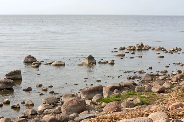 Küste des Golfs von Finnland — Stockfoto