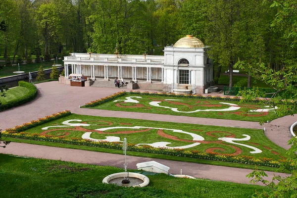 Pohled na trať a fontány v dolní park, peterhof, Rusko. — Stock fotografie