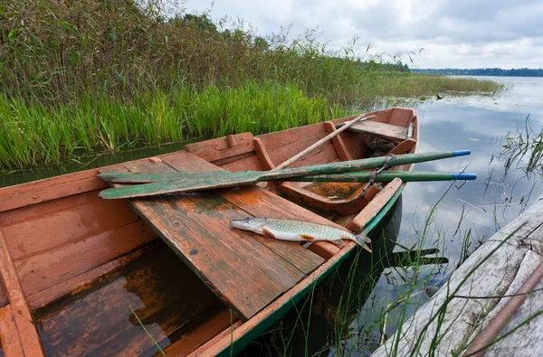 stock image September's Russian lake scenery