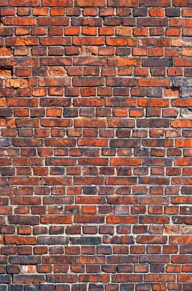 Red brick wall texture for the background — Stock Photo, Image