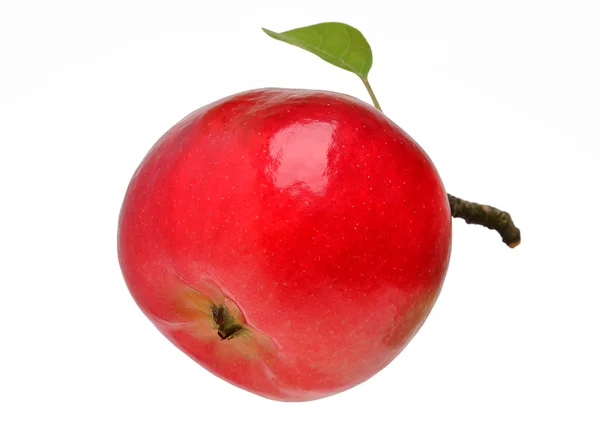 Kırmızı elma ile bir yaprak — Stok fotoğraf