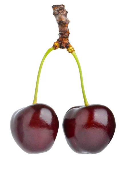 Black Sweet cherry — Stock Photo, Image