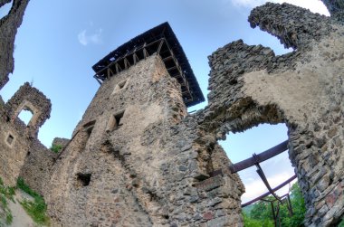 Nevitsky Castle ruins clipart