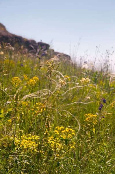 草原的草。保留"石墓"，乌克兰 — 图库照片