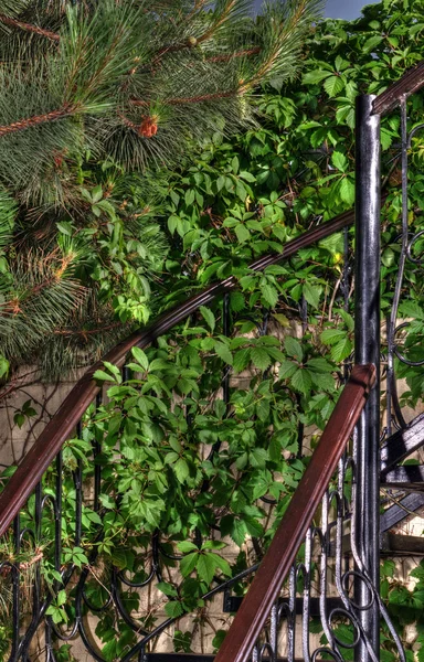 Wendeltreppe aus Holz in einem grünen Garten — Stockfoto