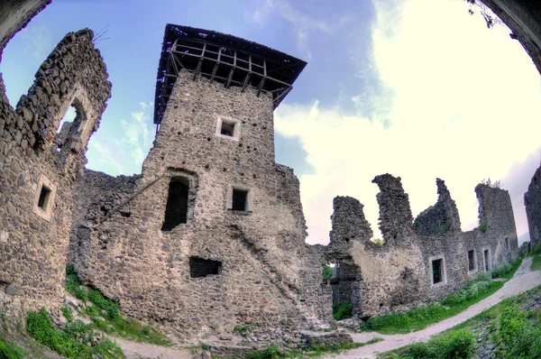 Ruines du château Nevitsky — Photo