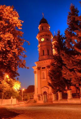 Greek Catholic Cathedral Ruthenian Catholic Church in Uzhhorod c clipart