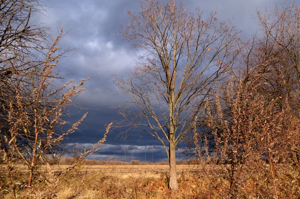 Rain clouds, sun rays, twilight, stormy sky — Stock Photo, Image