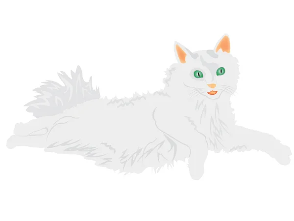 Illustration av katten — Stock vektor