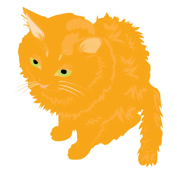 図は赤毛の猫 — ストックベクタ