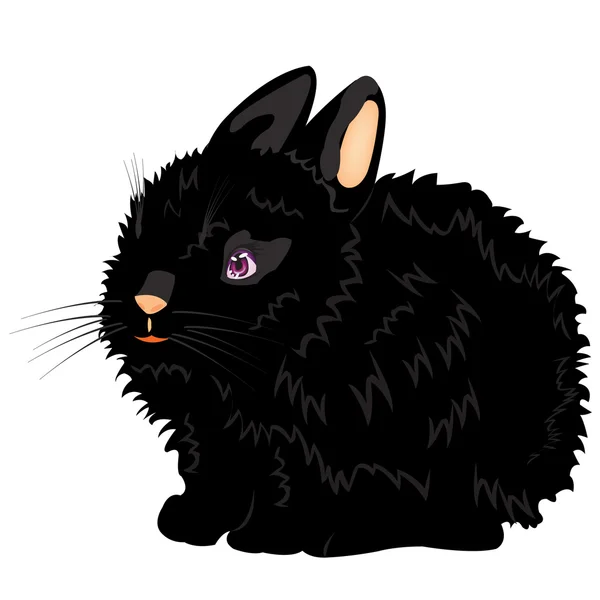 Illustration des netten schwarzen Kaninchens — Stockvektor