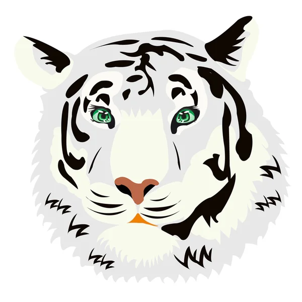 A tigris-fehér alapon portréja — Stock Vector