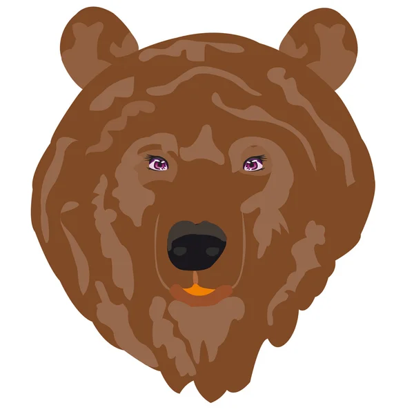 Illustration borax bear — Stock Vector