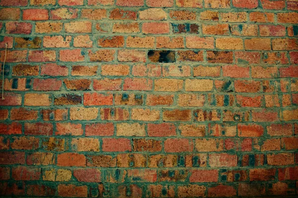 벽돌 질감 — 스톡 사진