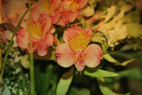 장미 꽃다발, 복고풍 텍스처의 빈티지 스타일 사진 — 스톡 사진