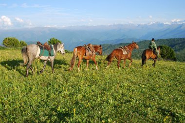 Instructor with horses in the mountains clipart