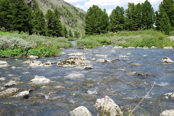 Mountain river Kuyguk — Stock Photo, Image