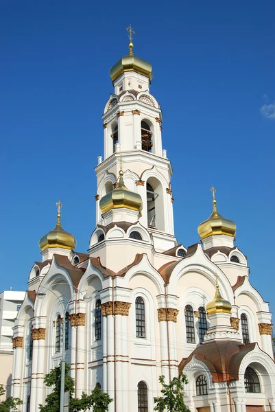 Gran Zlatoust (Gran Crisóstomo, Iglesia Maximiliana ) — Foto de Stock