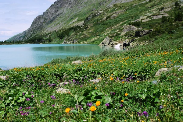Montagna e lago landsape Fotografia Stock