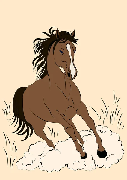 Arabianhorse — ストックベクタ