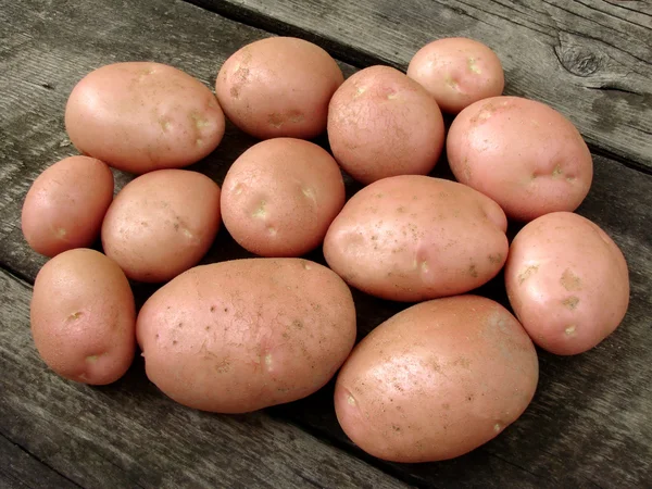 Bulw ziemniaka zebranych — Zdjęcie stockowe