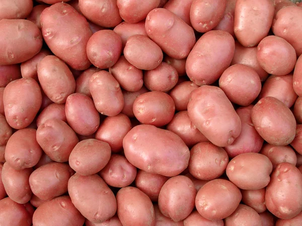 Картофельные клубни — стоковое фото