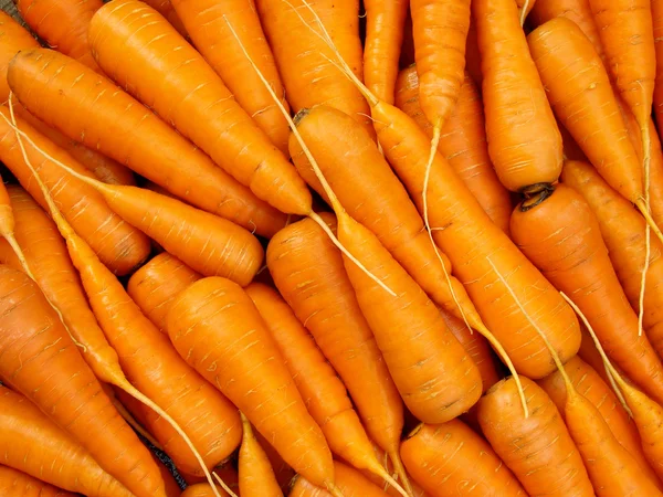 Морковь фон — стоковое фото