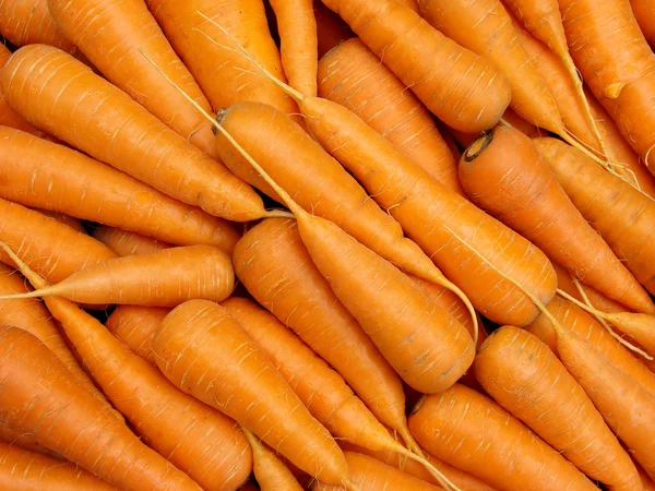 Морковь фон — стоковое фото