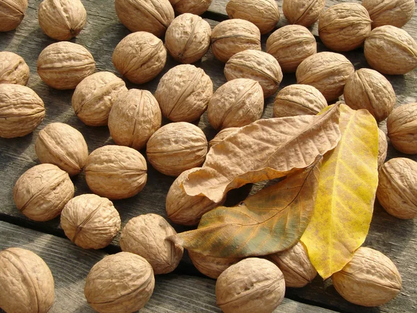 Nueces con hojas —  Fotos de Stock