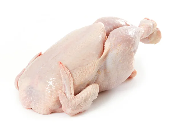 Νωπό ωμό κοτόπουλο — Φωτογραφία Αρχείου