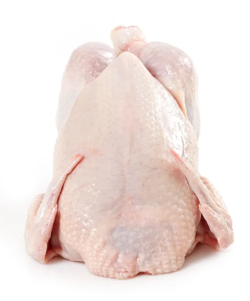 Čerstvé syrové kuře — Stock fotografie