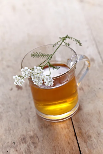 Свежий травяной чай — стоковое фото