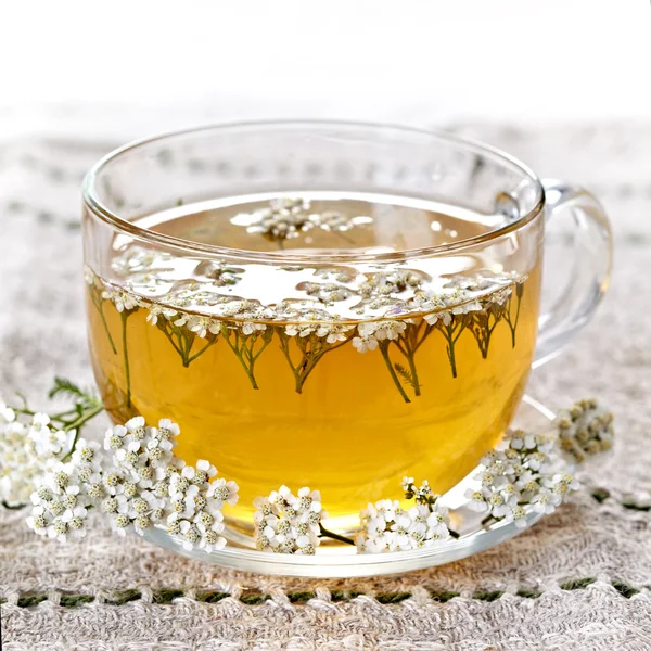 Świeże herbaty ziołowe — Zdjęcie stockowe