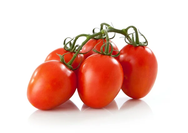 Свежий помидор — стоковое фото