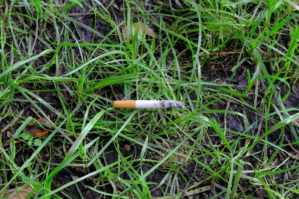 Cigaret. Grass. Fire safety. — Stock Photo, Image