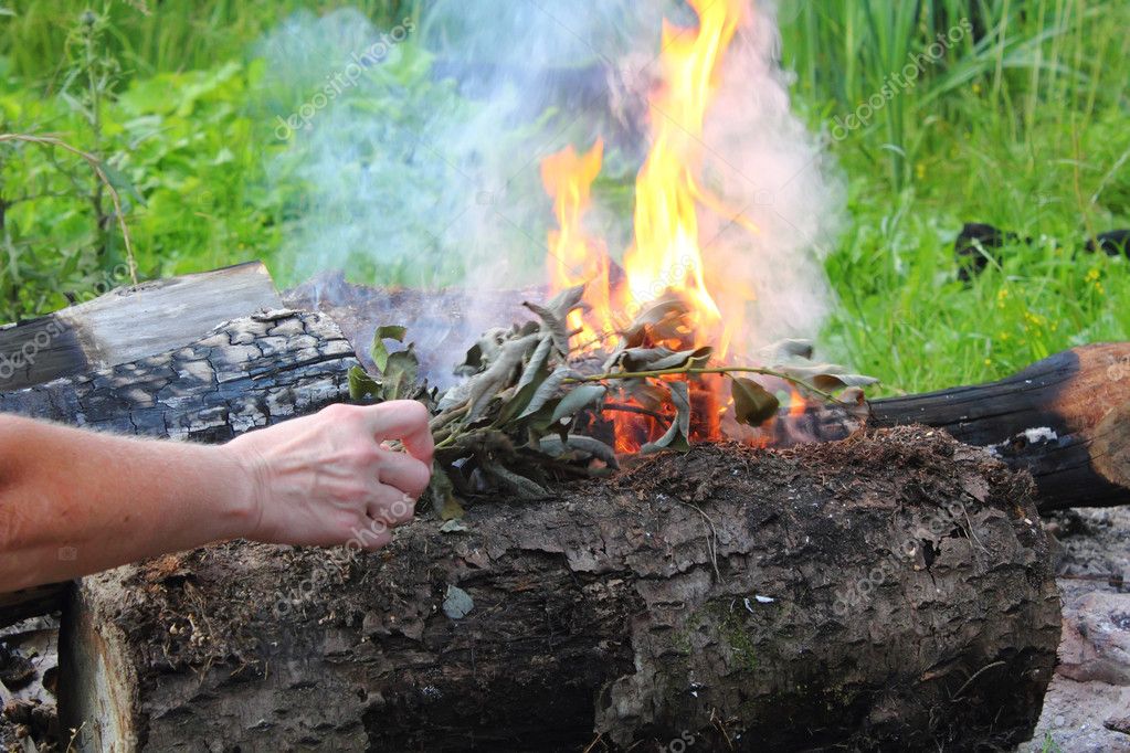 Smoke. Campfire. — Stock Photo © pali137 7630175