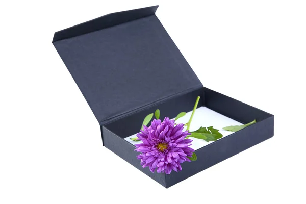 Caixa de presente aberta com flor isolada — Fotografia de Stock