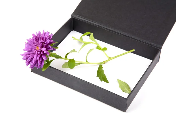 Otwórz pudełko z kwiat na białym tle — Zdjęcie stockowe