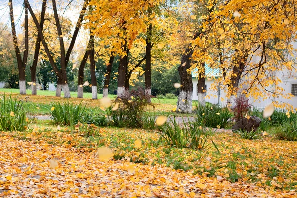 Listí na podzim — Stock fotografie
